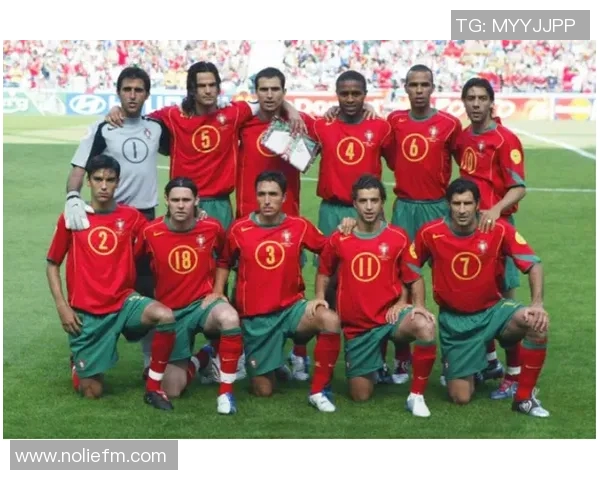 波黑足球明星的传奇之路与辉煌成就解析