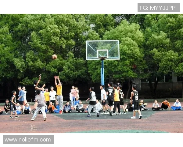 杨军深度解析篮球技巧与心得分享助你提升球技与比赛表现